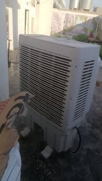 مبرده • توسوت • شغاله