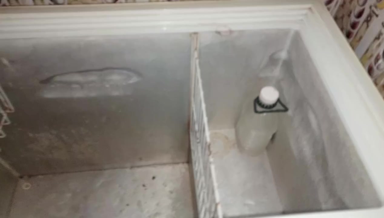 مجمده نظيفه فحص علشرط
***********
الديوانيه طريق سيد محيل قرب مجمع الاميرات
