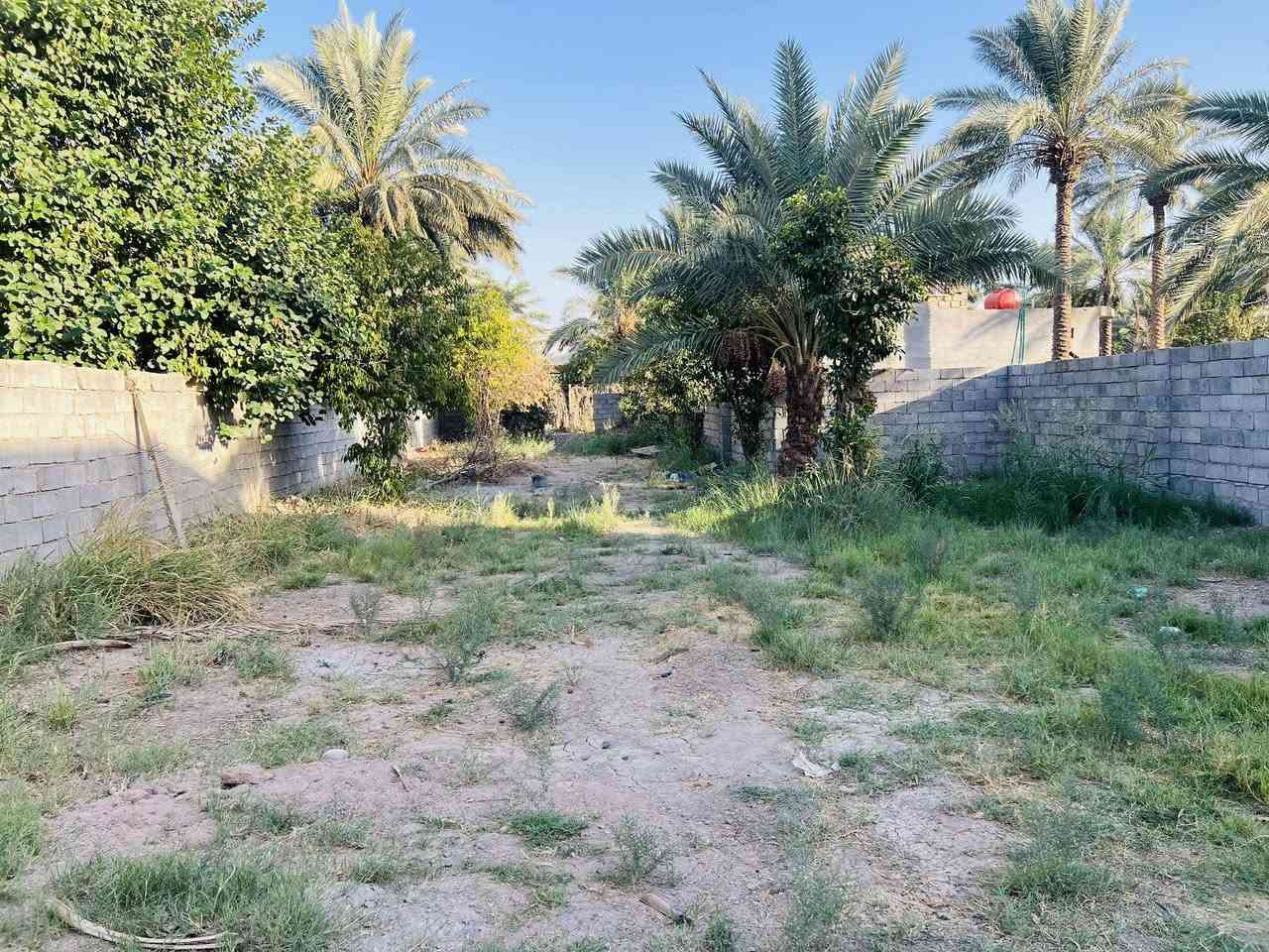 قطعة طابو زراعي سند ٢٥ مساحتها ٦٠٠م مقابل ملعب السايدين  عليها طريق من السده وطريق من السايدين تبعد عن السايدين ٦٠ م  مسيجة ببلوك 
للاستفسار ***********
***********
او مراجعة مكتب أمتار للعقار
