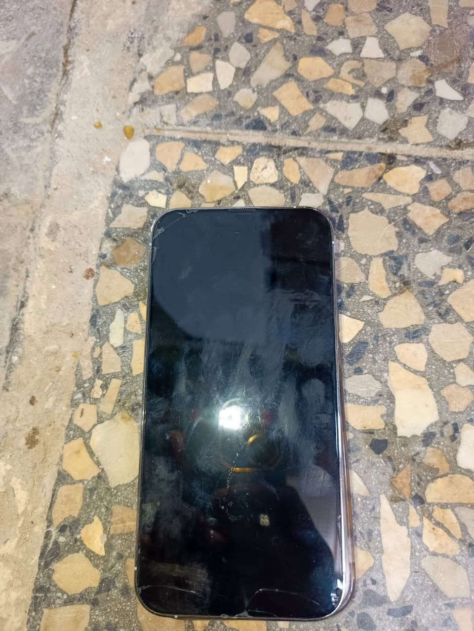 13 برو ماكس للبيع السعر خاص كلشي كبالك بطاريه 86 مكاني نجف
جهاز أمريكي


**إذا كنت صاحب هذا الإعلان وتريد حذفه لأي سبب، رجاءا أرسل رسالة إلى الدعم الفني**