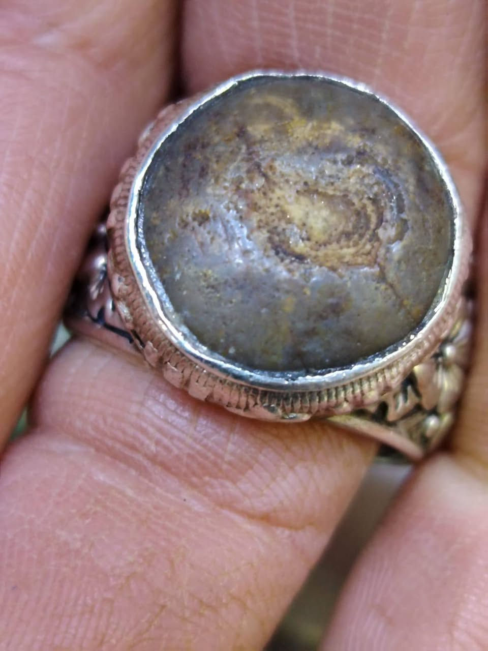 ابو ورود الحسيني ***********
