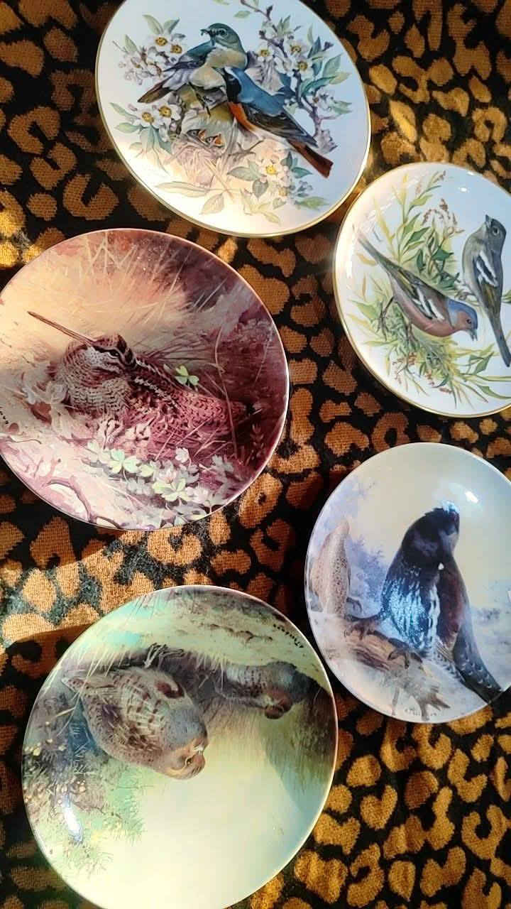 خمسة صحون مصورة مختومة 
سعرها 28 كلها مع التوصيل


**إذا كنت صاحب هذا الإعلان وتريد حذفه لأي سبب، رجاءا أرسل رسالة إلى الدعم الفني**