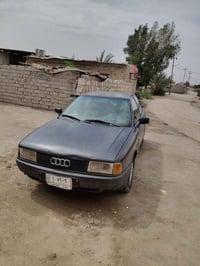 اودي • ميسان • راعيه