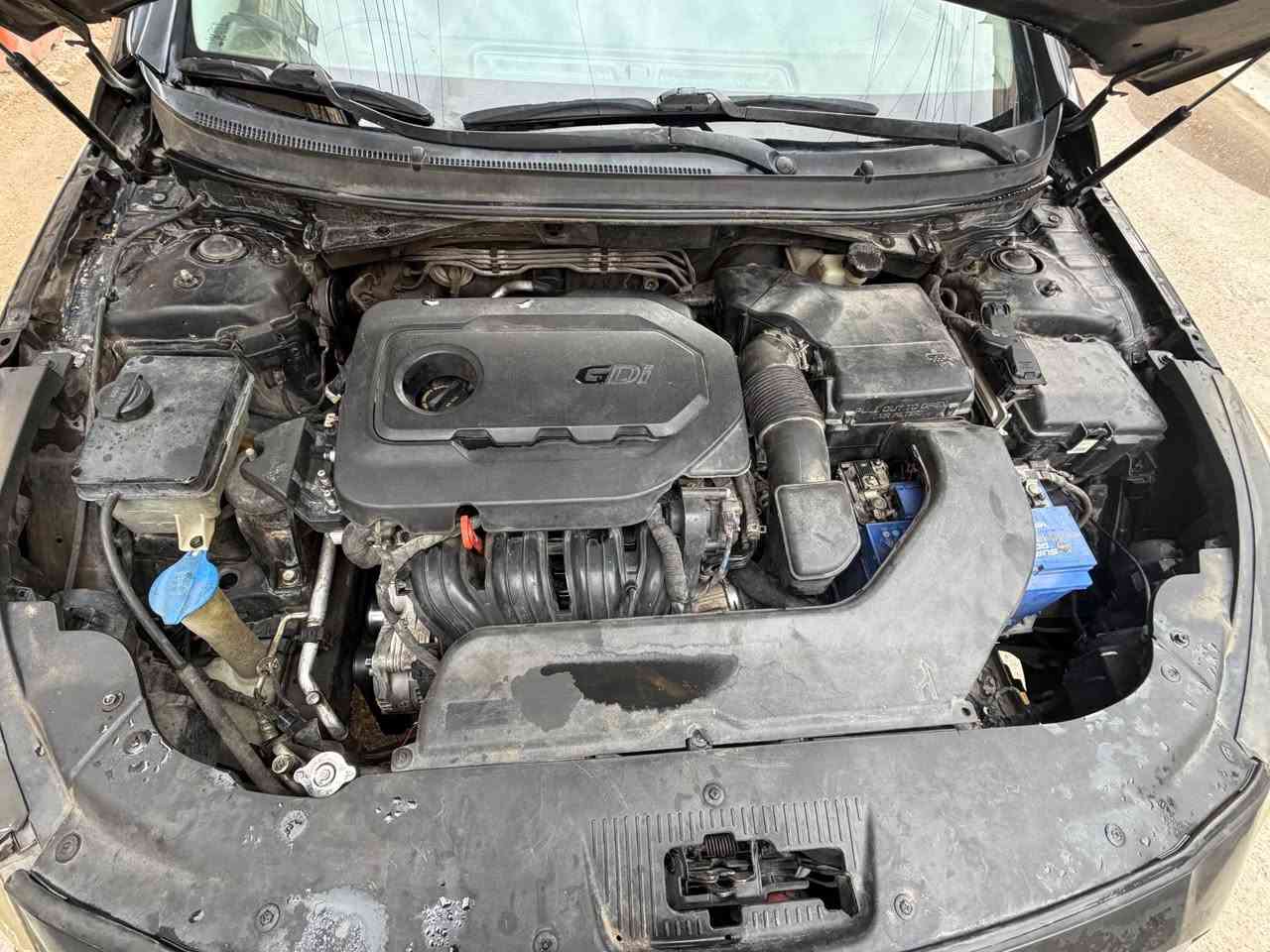 السـلام عليكم أخوان 
للبيع سوناتا 2016 sport نص مواصفات

مواصفات السيارة 🛑

محرك GDI 2400 مفتوح 
شاشة كبيرة كاربلي واندرويد اوتو 
تحكم جهتين ستيرن 
كاميرا خلفية 
كشن كهرباء 
دبل اكزوز 
3 وضعيات قيادة ايكو وسبورت ونورمال 
ملاحظة ! السيارة بيها حالـوب تجي وتشوفها بعينك 
صور حادث السيارة ويا المنشور منزلهن 
السيارة كلها ليبل واحد بدون تبديل فقط الجاملغ مبدل 
الســعر ( 109 ) وبيها مجال بسيط 

مكاني بغداد 

رقم اربيل بأسمي شخصياً السنوية لل 28 
كلشي واضح كدامك الي تعجبة يشلع عيوني والسوك كلشي بي 

 متواجد واتساب ((***********)) بغداد, العراق
