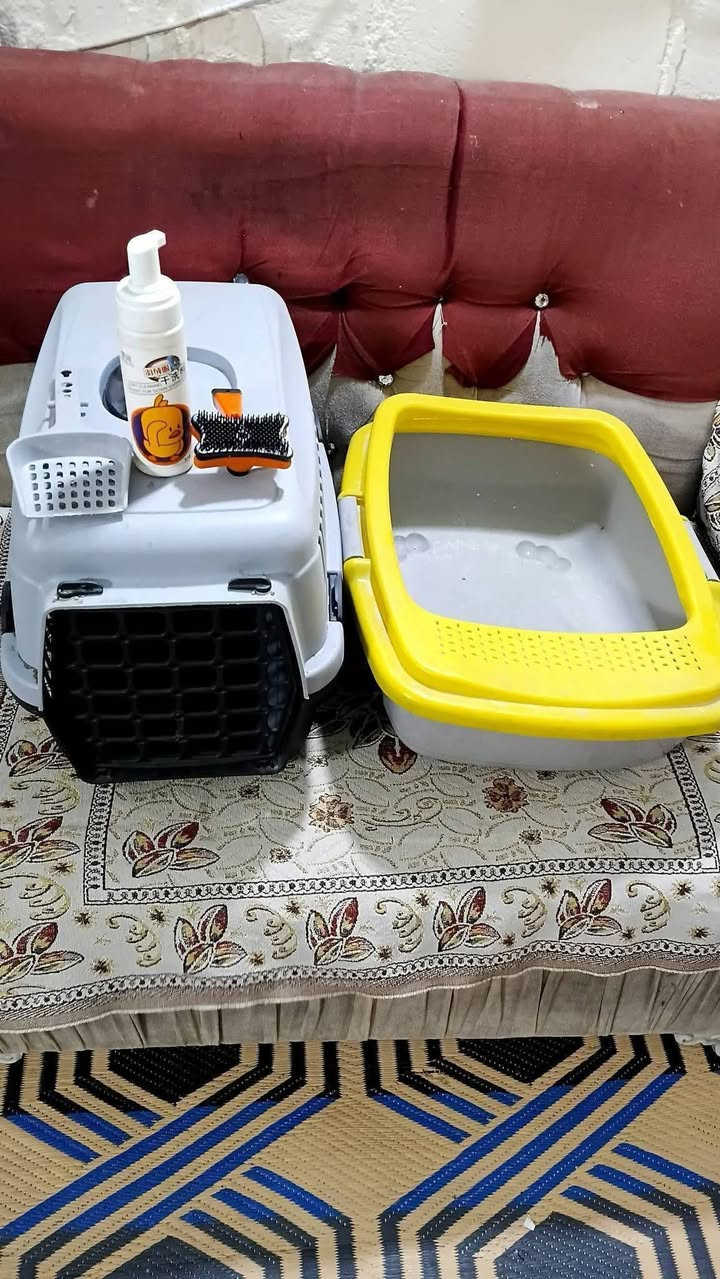 اغراض قطه كلهن 25 الف


**إذا كنت صاحب هذا الإعلان وتريد حذفه لأي سبب، رجاءا أرسل رسالة إلى الدعم الفني**