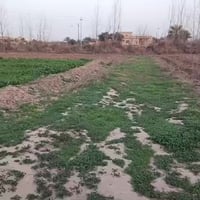 گاع زراعي • ٣ دوانم • البعيجي قرب الجسر