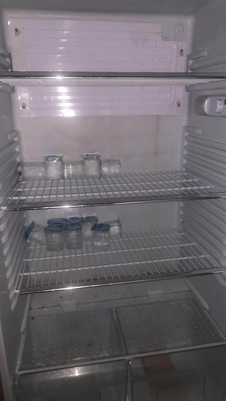 ثلاجه عل فحص 100


**إذا كنت صاحب هذا الإعلان وتريد حذفه لأي سبب، رجاءا أرسل رسالة إلى الدعم الفني**