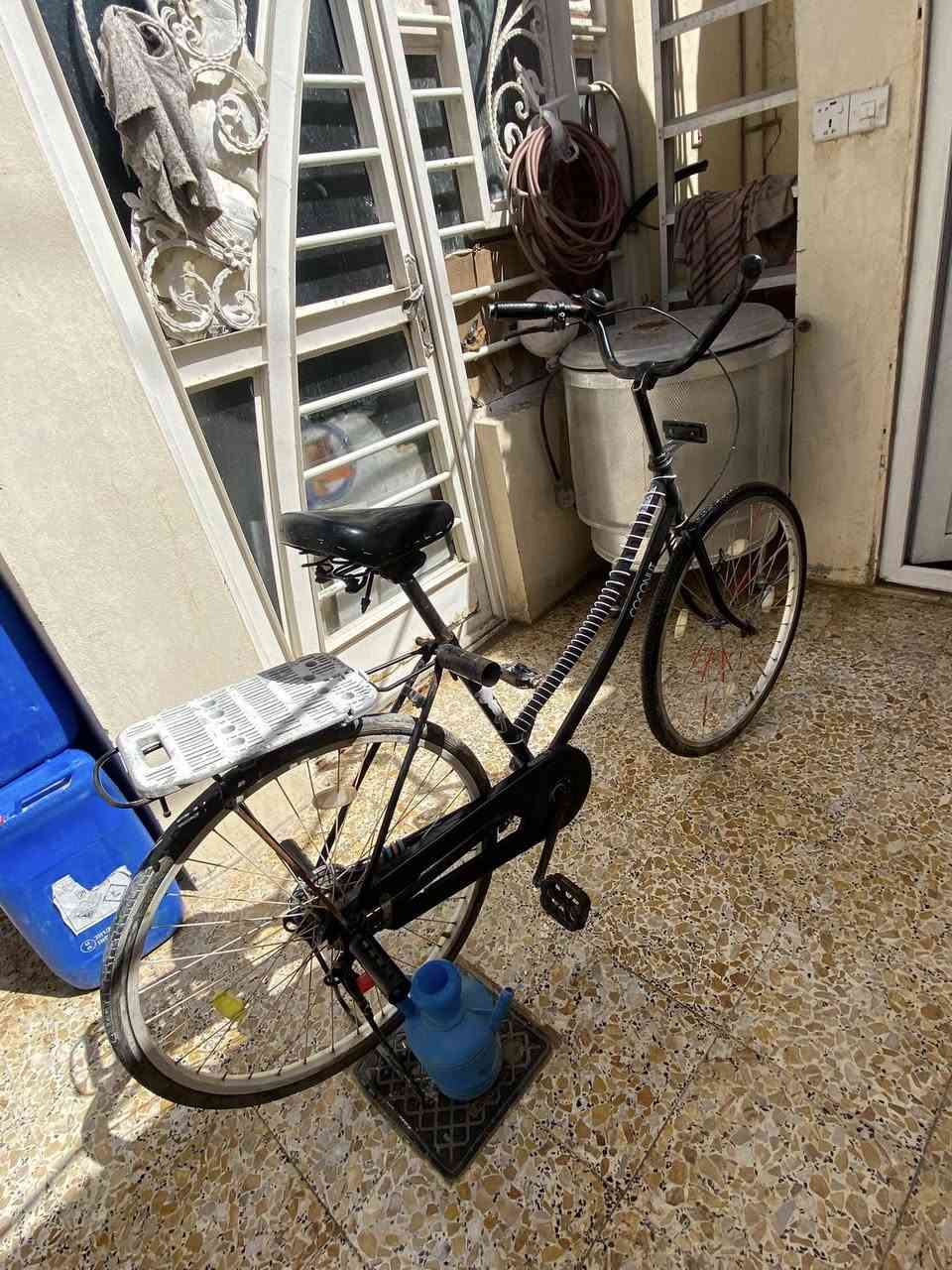 باسكل للبيع موديل ٢٢


**إذا كنت صاحب هذا الإعلان وتريد حذفه لأي سبب، رجاءا أرسل رسالة إلى الدعم الفني**