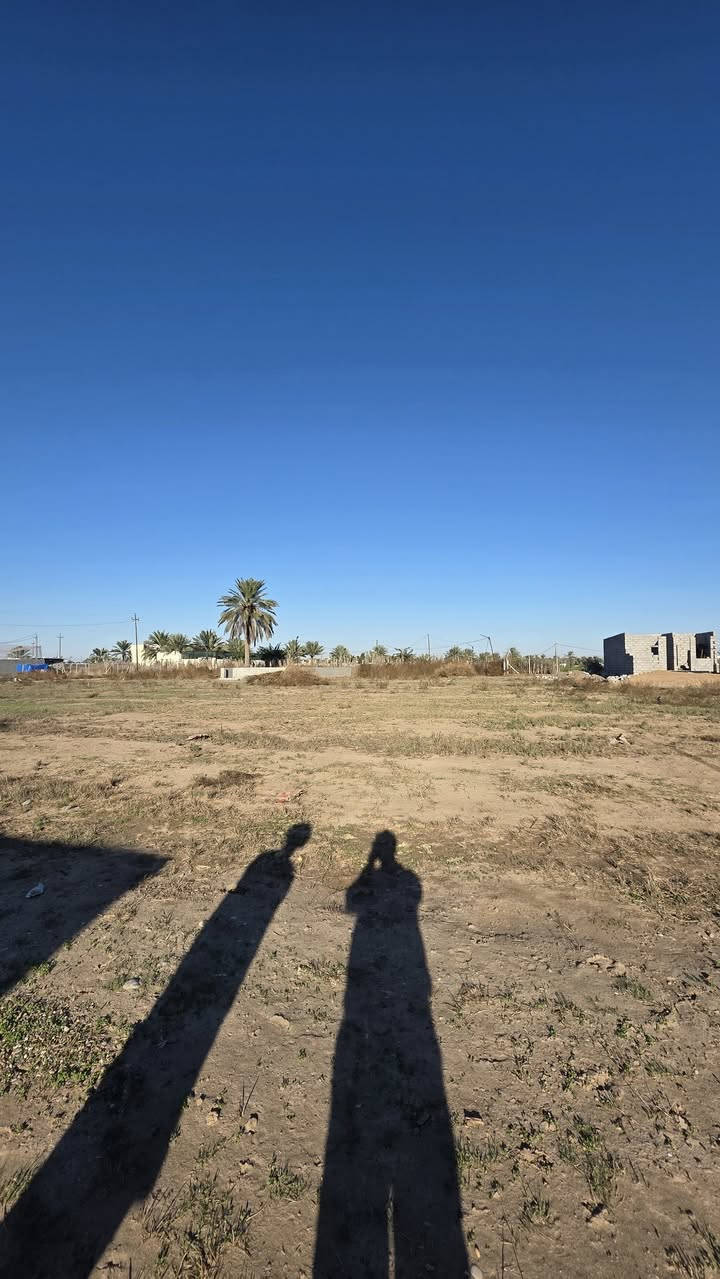 قطع اراضي للبيع المساحة 150 متر 
الاسعار مناسبة جدا 

الموقع شارع الحولي خلف معهد القلم 

للاستفسار الاتصال على ***********
