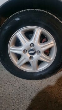 تخم ويل كب ابل نجمه انضاف حيل مابيهن طربه حجم ١٥ مراوس تخم ويل مكاني ا...