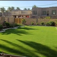 النجف • ديكورات حدائق • زراعة ثيل