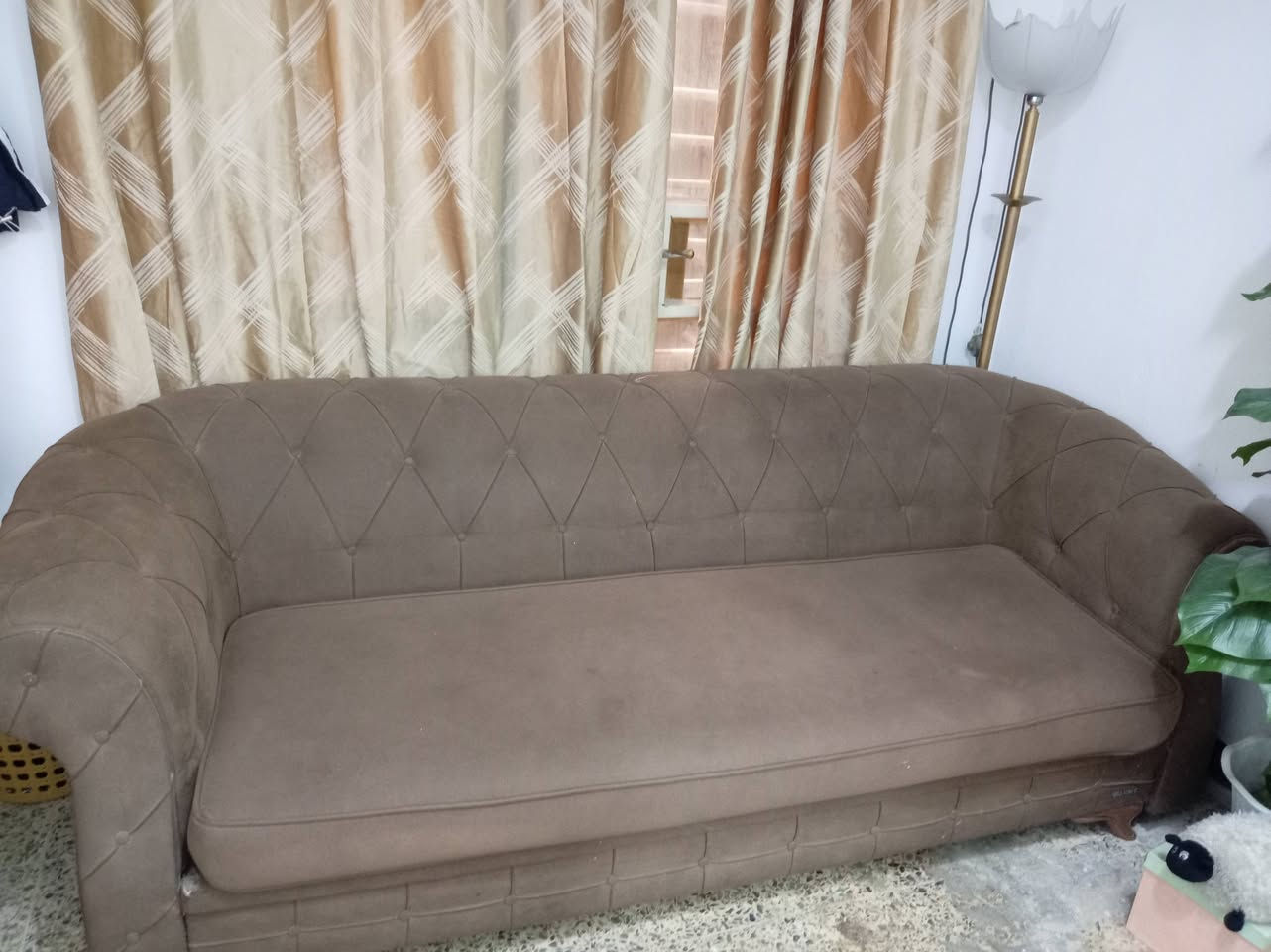 قنفه ثلاثيه للبيع بدون ضرر


**إذا كنت صاحب هذا الإعلان وتريد حذفه لأي سبب، رجاءا أرسل رسالة إلى الدعم الفني**