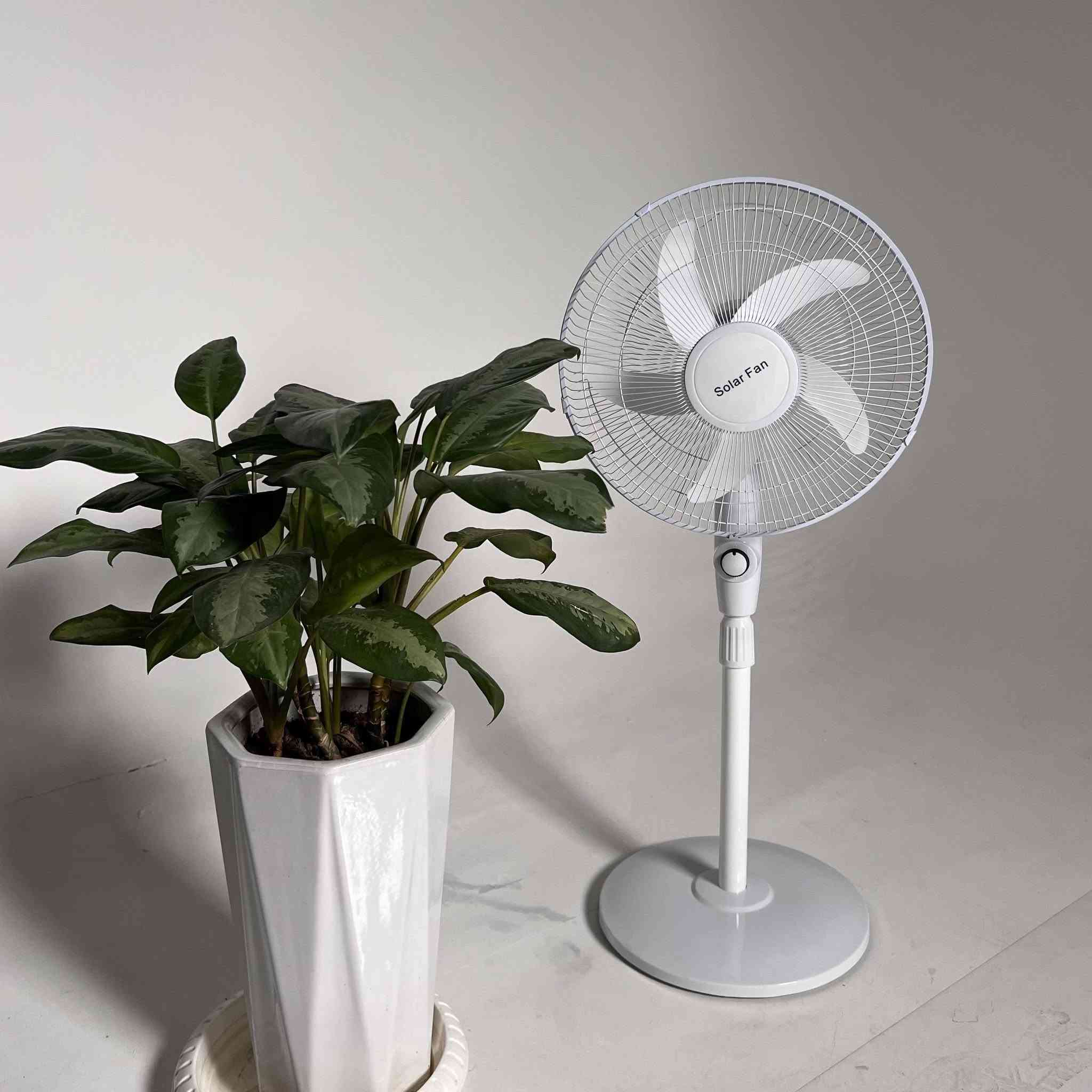 مروحة عمودية شحن  شمسية Solar Fan

سعر 45


**إذا كنت صاحب هذا الإعلان وتريد حذفه لأي سبب، رجاءا أرسل رسالة إلى الدعم الفني**