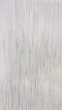 قلة أكل • وزن ثابت • القائم الانبار