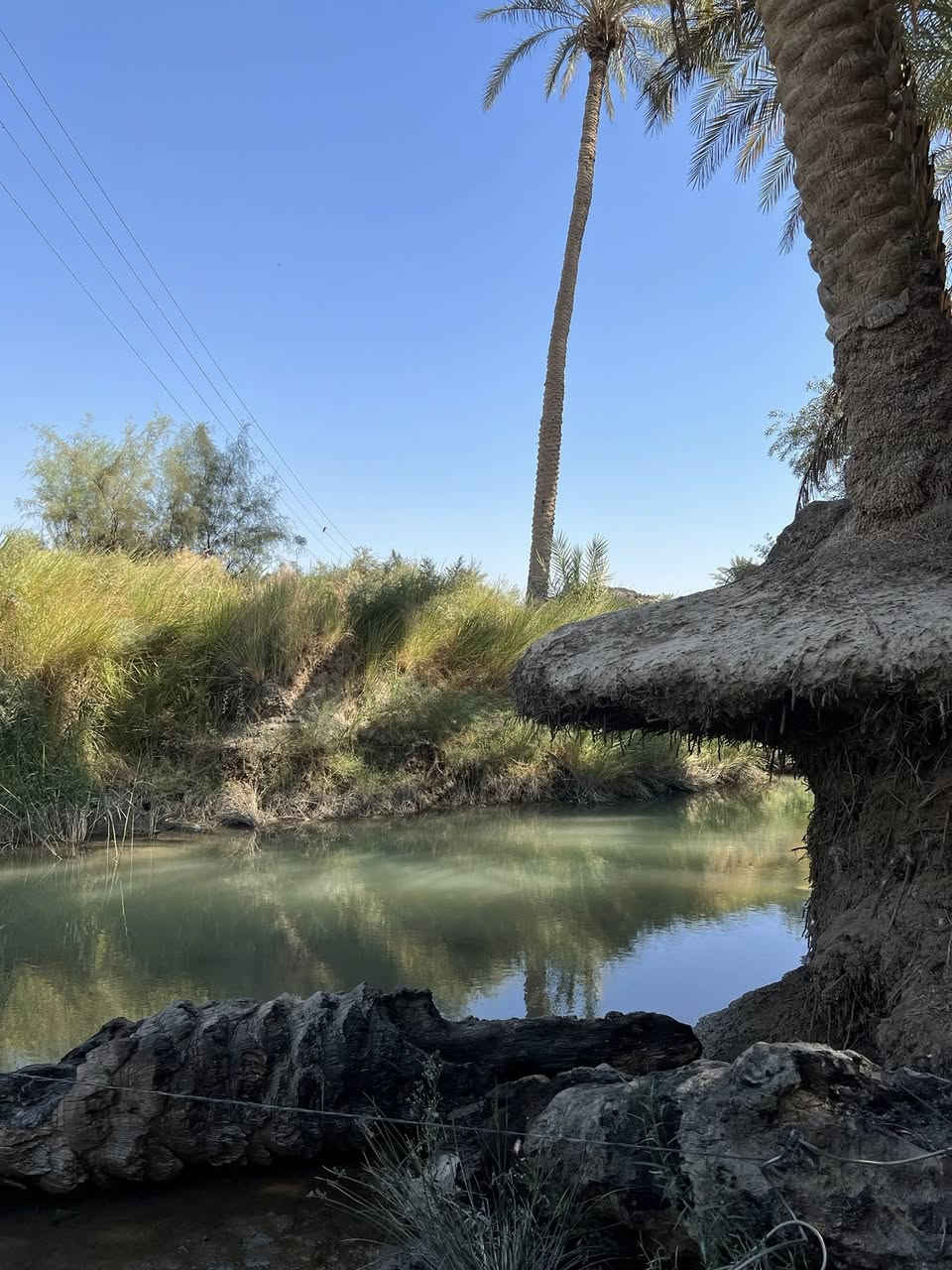 سلام عليكمً ارض طابو زراعي للبيع ام نعجه 301 او 256متوفر كافت الخدمات المساحه 5 دونم 

‭0783 885 1910‬
