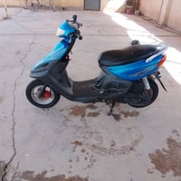 ماكس ثعلب • مامفتح • نضيف