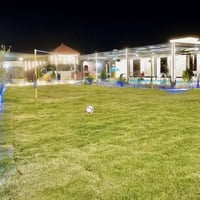 الشيخ عامر • سند ٢٥ • واجهة ٥٠م