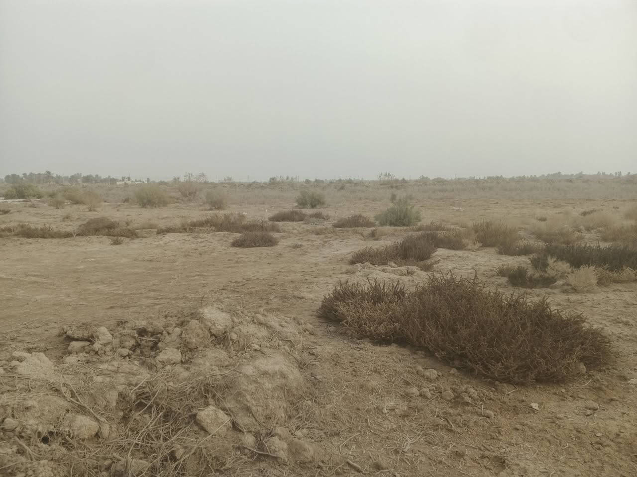 سلام عليكم اخوان كيعان ثنين للبيع الوحده 15دونم توجد بيهن ماء وكهرباء الشراي بي خير ويدلل وهاذه رقمي ***********
