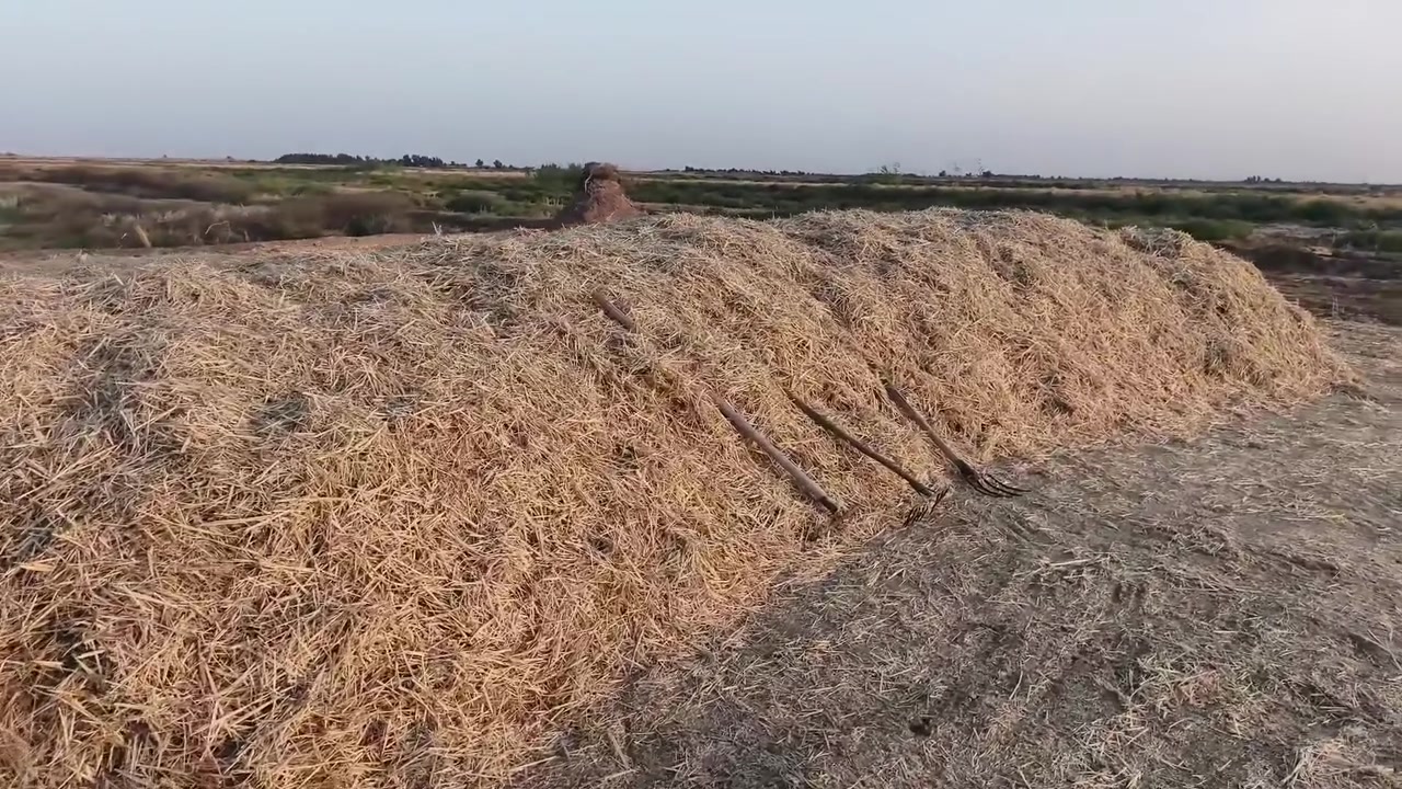 تبن شعير ادياسه قضاء الفجر للاستفسار اتصل.. ***********
