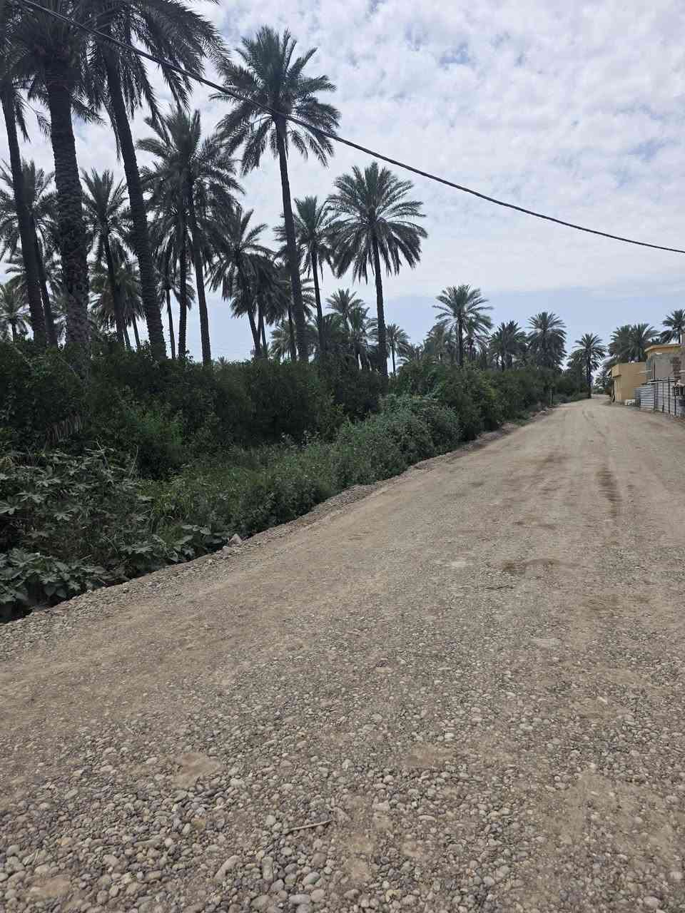 السلام عليكم ورحمة الله وبركاته 🫱🏽‍🫲🏻
اراضي زراعيه 🏞 للبيع طابو صرف المساحات مختلفه دونم دونمين نصف دونم الواجهات مختلفه
حسب الامكانيه 🌺
الموقع مُمَيز جداً ‼️
العنوان: بغداد /شاطئ التاجي /قُرب جسر الذراع 
للاستفسار الاتصال على الارقام الاتيه 
كورك: ***********📞
أسيا: ***********📞
#مكتب_ديرتنا_للعقار🏢
#بإدارة_أحمد_أبومصطفى 
تواصلو معنا وسنكون بخدمتكُم🌹
