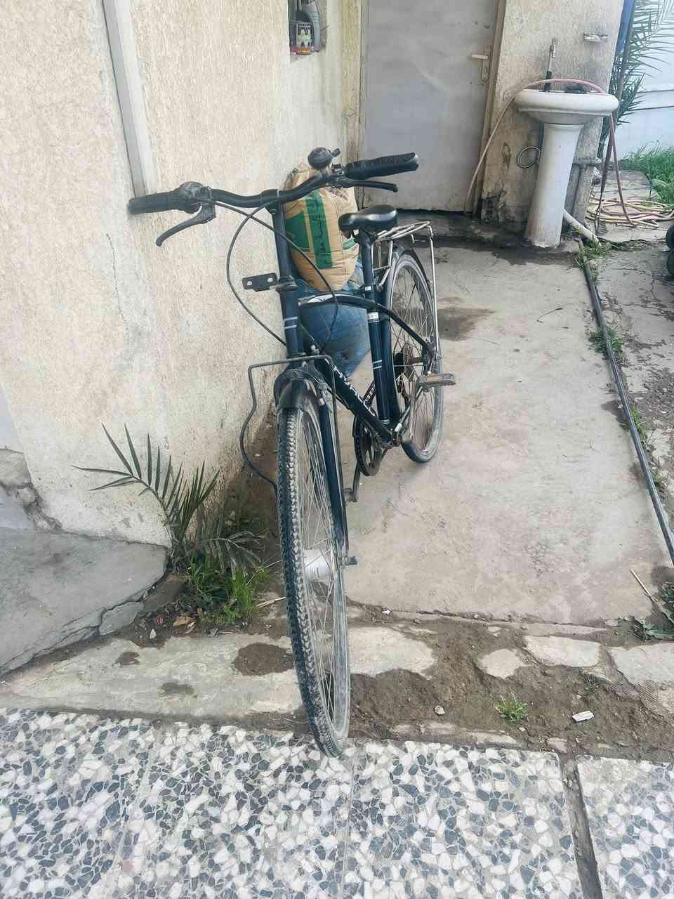 بايسكل بناتي ياباني اصلي مال حاويه باسكل نضيف مامستعمل هواي رايده ب100وبي مجال حك جيه مكاني الشعله الرحمانيه


**إذا كنت صاحب هذا الإعلان وتريد حذفه لأي سبب، رجاءا أرسل رسالة إلى الدعم الفني**