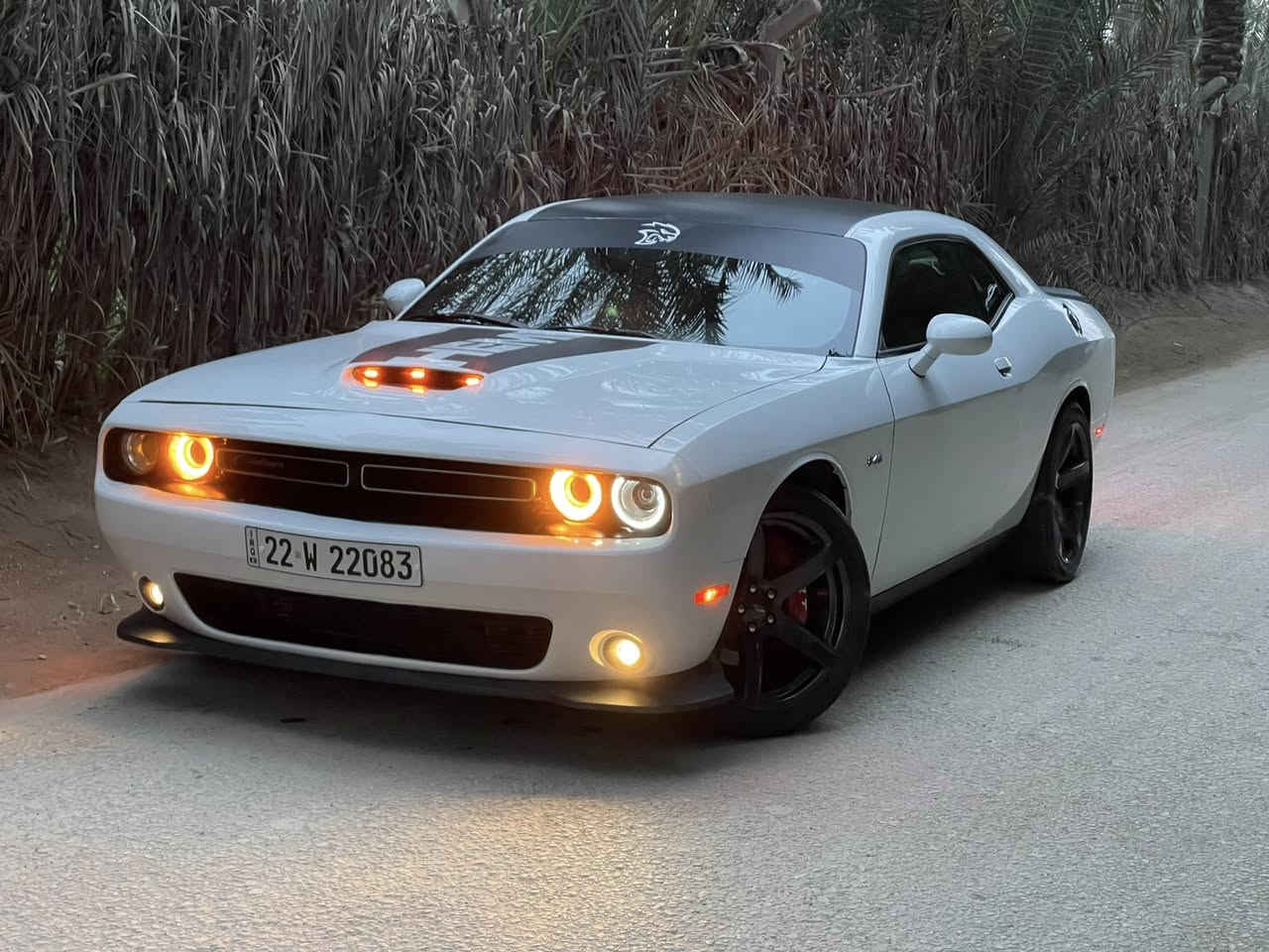 جالنجر 2023 جاهزه ع اخر حبه
كشنات دوشمه جلد اصلي 
دركه كلها كاربون 
محرك 5.7 (8)
الغرفه كلها مطعمه بكاربون 
عليها برمجه وسيفتي حمايه 
داون بايب جديد بدون لحيم 
برمجه طلقات 
شوته رياضي 
ماشيه ٢٥ الف ميل 
وياله وتخم تايرات جدد 
فجوج بريكات 
وهواي اضافات 
مواصفات 
شفتات ستيرن شاشه وسط 
السياره تستقبل بانزين عادي 
دبلات اربع صفر بلاديه 
كاعيات حضن 
السياره بريحه الوكاله 
مرقمه بشهر الواحد هزه وفحص جدد 
تحويل ثاني يوم 
حادث السياره 
جاملغ وبنيد فقط لا رصعه ولا شخط بدي السياره 
شاصي الامن فقط سحب بدون لحيم وكص كلش بسيط 
مكاني بابل شارع السياحي 🏎️🏎️🏎️
السعرررر ١٦٨ اذا اكو هيج سعر من لزاخو للفاو بهيج حادث انطيها بلاش 
***********
