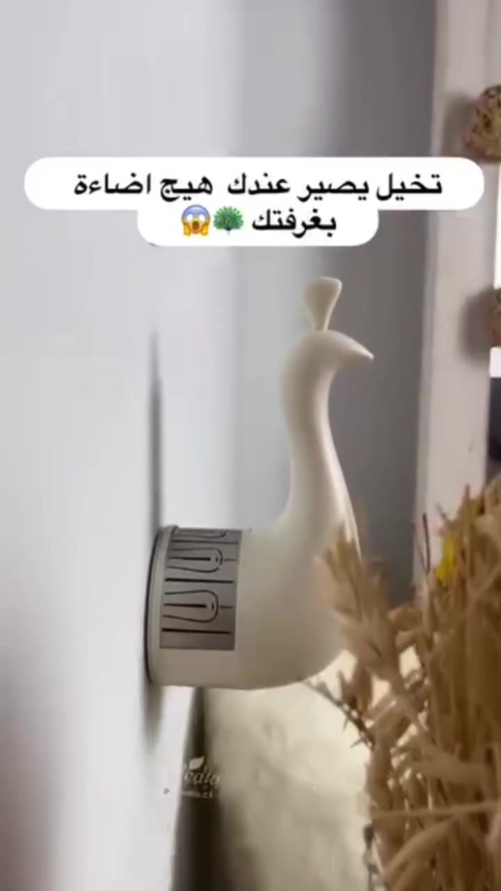 نشره طاوس 

صدار جديد 📣

شحن وكهرباء

#نشرة #اكسبلور


**إذا كنت صاحب هذا الإعلان وتريد حذفه لأي سبب، رجاءا أرسل رسالة إلى الدعم الفني**