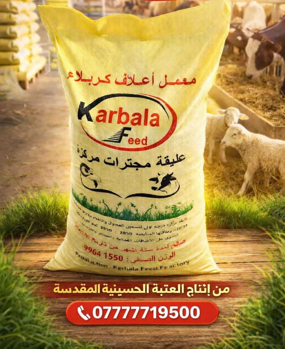 اعلاف كربلاء (***********)
(انتاج العتبة الحسينية المقدسة )
يوجد توصيل من كيس واحد  الى ١٠٠ طن 
سعر الطن (٦٠٠ )
1.نسبة البروتينات ١٥ %
2.مكونات العليقة(١٤ ) مادة 
.........مكونات العليقة .......
.نخالة 
.شعير 
.ذرة صفراء 
.طحين علفي 
.فول الصويا
.سحالة 
.يوريا 
.ملح
.مولاس 
.كالسيوم 
.بريمكس 
.خميره حيه 
.حجر كلس 
.قشرة
