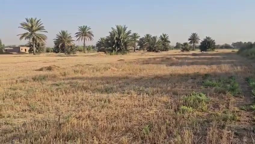 ارض زراعية للبيع على ديالى طابو تحويل باسم المشتري بالطابو مال بعقوبه المساحه ١٠دونم كل خمس دوانم بيها سند شرط التحويل بأسم المشتري بيها مجتملات اثنين يرادلهن ترميم وبيها محرك تصلح حقول دواجن تصلح بحيرات سمك تصلح بستان حسب رغبة المشتري العنوان من تطلع الصناعه مال بهرز تاخذ يمنه على العباره تطلع العصامله ومله عيد وتطلع الجعافره يم المراسمه لها طريق ثاني تطلع ابو خميس مقابل المعسكر قريه النقيب تاخذ يمنه ٢كم توصل السده تاخذ يسره تمشي كيلو تاخذ يمنه على ديالى ٢٠٠م  ولها طريق ثالث من يم حبش تاخذ يمنه تمشي ٣كيلو توصل قرية البياع تمشي كيلو تاخذ يسره ٢م  وباقي التفاصيل الشراي يتصل ويدلل *********** بي واتساب *********** ملاحضة الأرض تباع بالكامل بدون تقطيع وتحياتي للجميع
