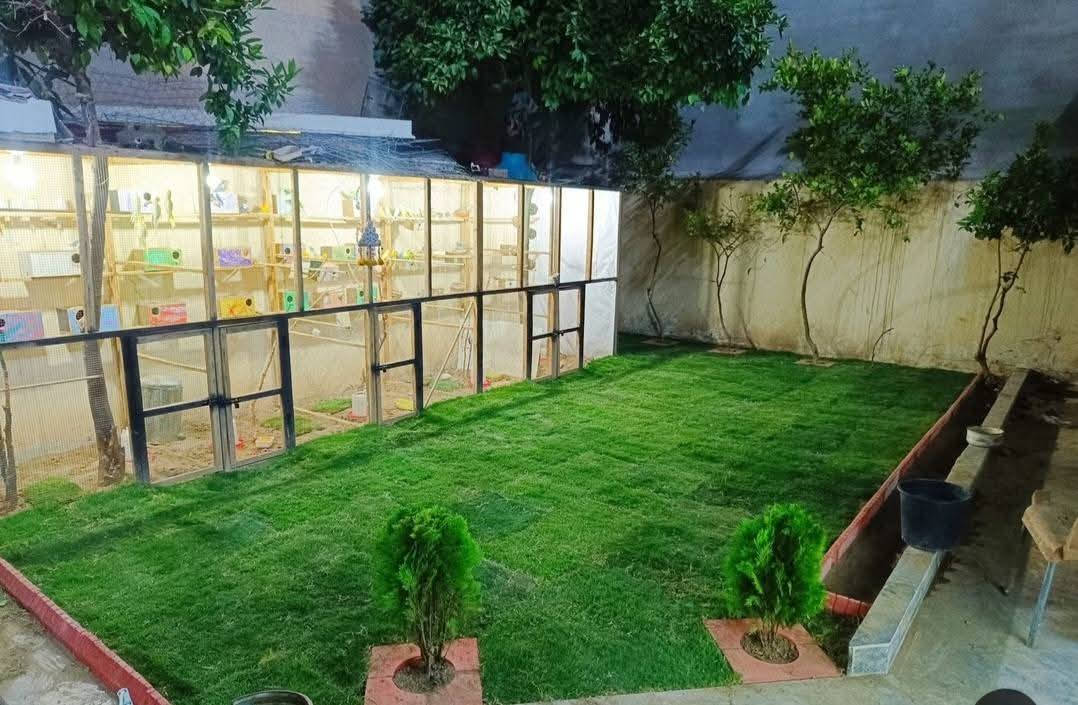 🌳خلي حديقتك ويانه اجمل 🌳🌹
📌(نعمل لأجلكم ونقدم الأفضل لكم بأنسب الأسعار
📌(تصميم الحدائق وتبديل زميج  حسب الطلب)🌳
📌(نعمل تنظيف وترتيب الحدائق وقص ثيل وتقليم اشجار)
📌(نعمل لتجهيز الثيل الطبيعي)🌳
📌(نعمل على تقليم وترتيب جميع الأشجار وادامه شهريه للحدائق)🌹
📌مستعدون للعمل حسب الطلب   
للاستفسار اكثر مراسلتنا على الصفحه او الاتصال على الرقم التالي 
📞***********📞
