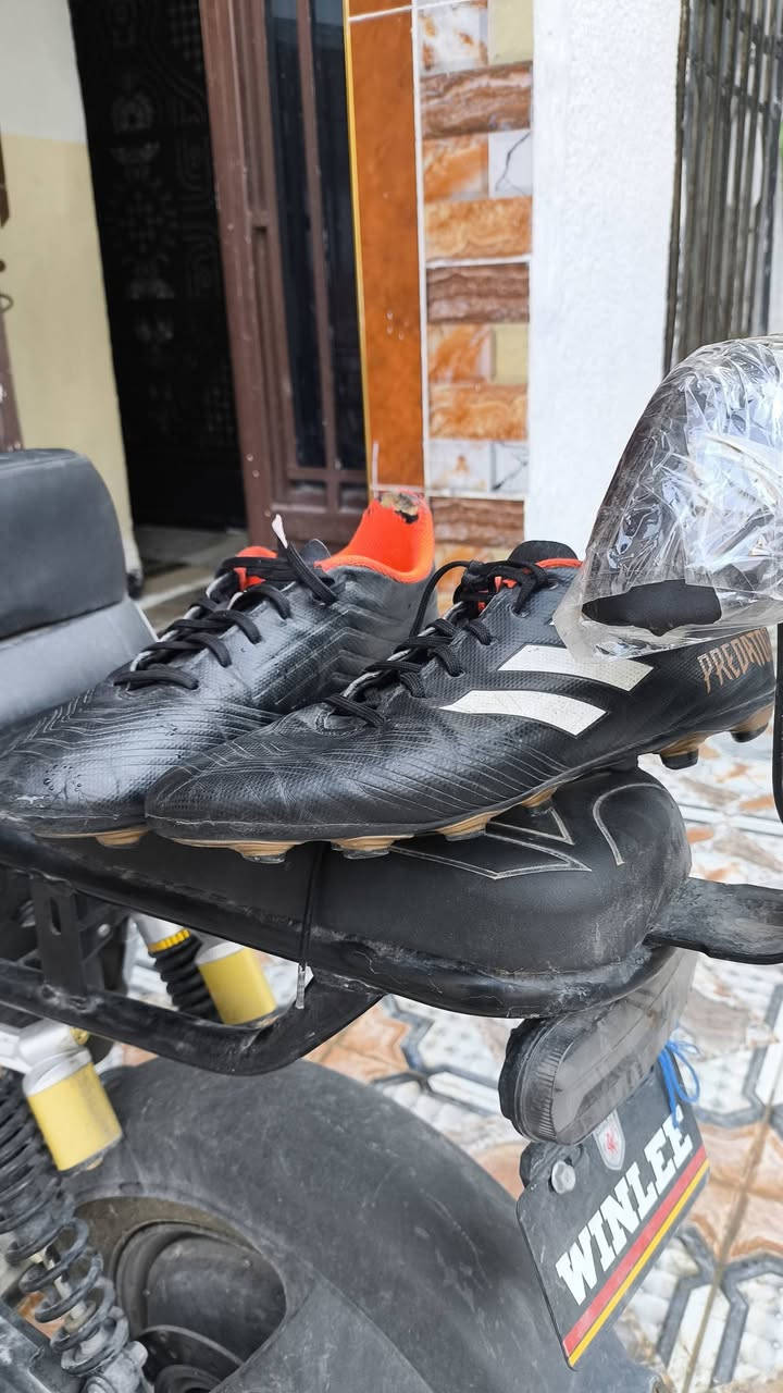 باله 11لاعب للبيع


**إذا كنت صاحب هذا الإعلان وتريد حذفه لأي سبب، رجاءا أرسل رسالة إلى الدعم الفني**