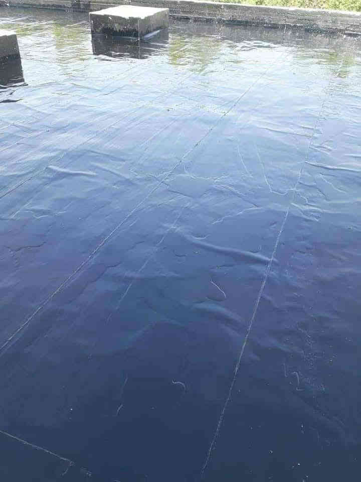 سكله المنكوشي البيع الكير ***********
