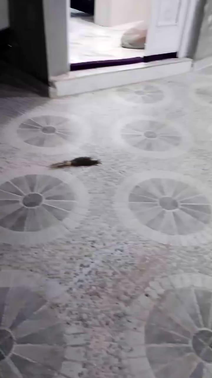 بيت 200 متر ارضي صغر زيرو غير مستقل حي الواسطي دور السكك غرفتين نوم واستقبال وهول ومطبخ حار او بارد ومجمع صحيات وگراج للاستفسار ***********
