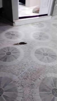 حي الواسطي • 200م • أرضي زيرو