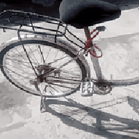 باسكل بناتي • ٢٤بوصة