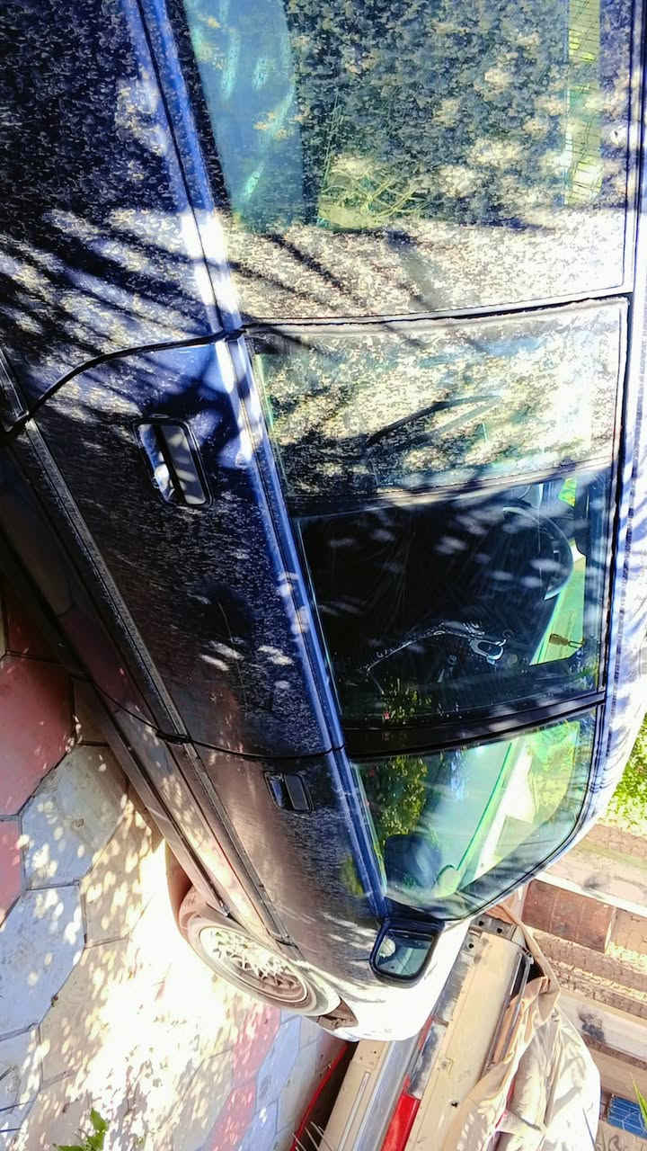 الرمادي هاذ رقم  ***********
اوميكه ستيشن 93 بلاد شرط   تخم تاير صدرج جديد
رقم دولي  سنويه لحد 2031 محرك كير جديد  دخل جديد سياره مال جنيه  
 اراوس اذا سياره جديده اللون أصفر اريد سمنت جديده اذا ترهم مراوس بل وابل مكاني الرمادي
