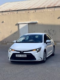 نص صبغ • بدون ايرباك • مرقمه اربيل