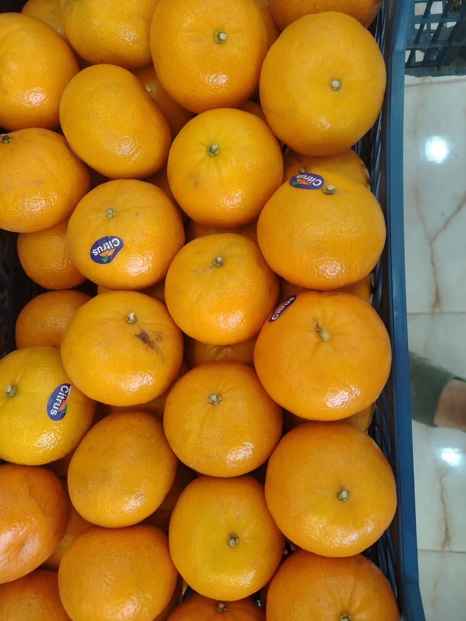 مسواك  جديد  جميع  انواع  الفواكي  والخضورات
🍌🍋‍🟩🍋🍊🍉🍈🍑🥝🍆🍆🥔🥕🫛🍄‍🟫🧄🥦🥬
العنوان  شارع  الحضرةخلف  ماركت  بيم 
يوجد خدمة  توصيل***********
