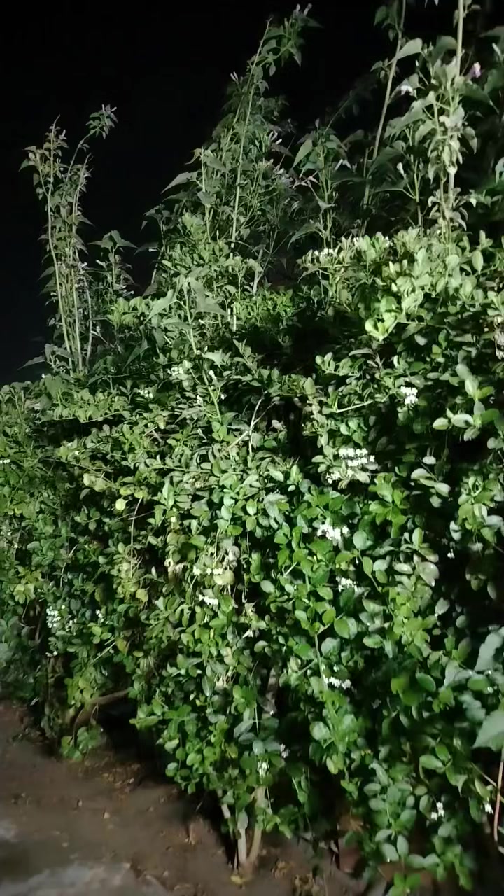 السلام عليكم
دار للبيع بغداد الحسينيه نهاية جريخي خلف جامع شهيد رائد
125 متر واجه 6وربع ونزال 20 طابو صرف مقابيل البيت حديقه تشجير طولها 25 متر وعرض 6 متر الحديقه  البيت يتكون من حوش 5ونص في 6 متر
استقبال 4ونص في 5 ونص صاله كبيره طول 7 وعرض 6
مطبخ مثل ما وضح بل صوره والفيديو صحيات كامله خارجيه وداخليه غرفة نوم 4 في 5 ونص ترك 2 في 2
بيتونه كبيره على كد صاله
بناء حديث  شارع تبليط جديد مجاري ماء، مدارس قربيه
خدمات كامله سعر البيت 93 وبي مجال بسيط مبادره ما ابيع نقد فقط
للاستفسار الاتصال على الرقم *********** بي واتساب ابو زهراء
