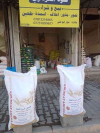 طحين خباز • طحين وجبة • المحاويل حي ١٧