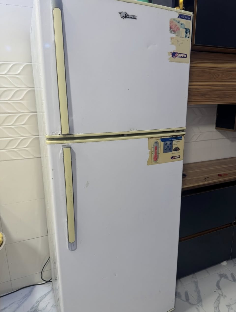 للبيع كلمن وسعره


**إذا كنت صاحب هذا الإعلان وتريد حذفه لأي سبب، رجاءا أرسل رسالة إلى الدعم الفني**