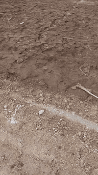 نهاية شارع السفينة • ١٣٥م • ماء وكهرباء