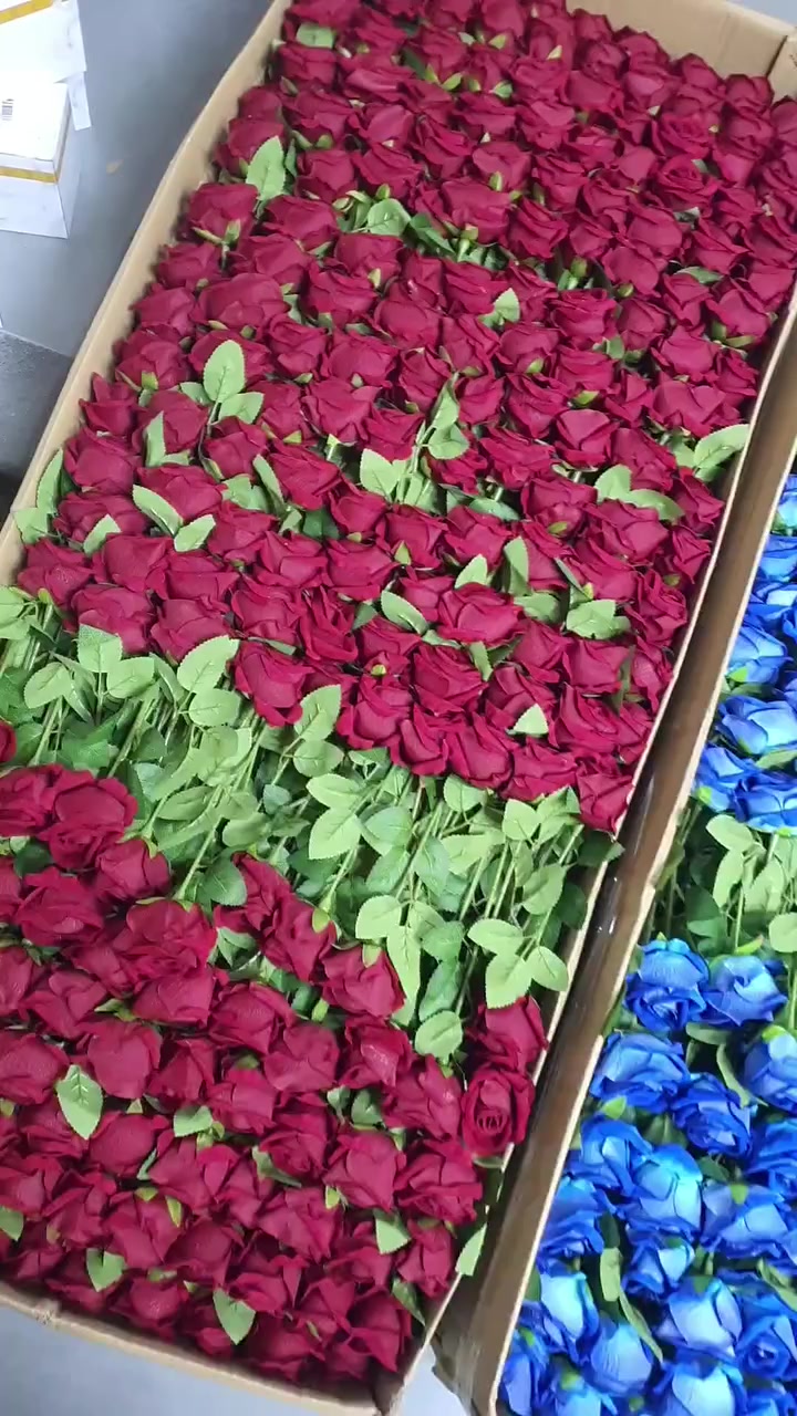 #ورد #جوري #فقط #3.500 #


**إذا كنت صاحب هذا الإعلان وتريد حذفه لأي سبب، رجاءا أرسل رسالة إلى الدعم الفني**