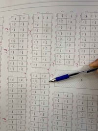 قطعه المساحه 250 متر ( مميزه مقابل متنزه )  توزيع الجديد  مقابل البواب...