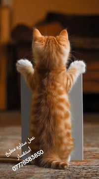 ستارة مطبخ • موديلات حديثة • قريه الغدير الأولى