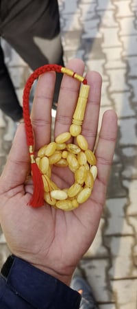 كهرب كصه صنوبري • ٤٣حبة • ٢٩.٣٤غ