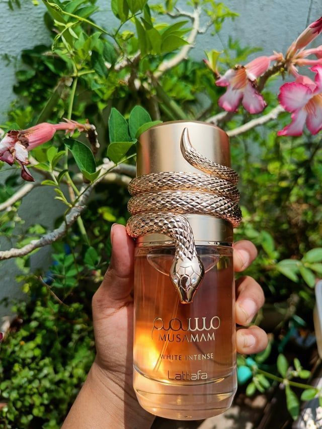 ❤️‍🔥🐍 عطر مسمم وايت إنتنس 
يتميّز برائحة غنية، قوية وآسرة، بتركيبة متوازنة تمنحك حضورًا فخمًا ولا يُنسى.
#الاصلي المنشأ الإمارات 🇦🇪💯
السعر 15 الاف 
🚘يوجد خدمة توصيل لجميع محافظات العراق 4الاف 🚘


**إذا كنت صاحب هذا الإعلان وتريد حذفه لأي سبب، رجاءا أرسل رسالة إلى الدعم الفني**
