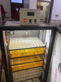 مستخدمة فقط وجبتين   فقاسه اوتو كلشي بيها شغال ع فحص العدد البيض القاب...