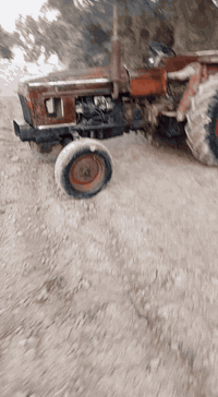 عنتر للبيع مكفوله 87 بيع مستعجل مكلف بالنشر *********** مكينه بلاديه
