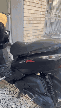 ماكس ثعلب GTR دراجه شغاله سلف هندر  كهربائياته كله شغاله ناقصه تريشه وحده الصفح   السعر ٤٥٠ وبيه مجال مكاني القاهره ***********
